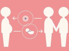 �����������Թ����к��Թ��������裿�갮ҽѧ���������Թ����к���������ĳ�������